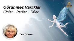035 3 Videolarımız