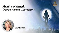 038 3 Videolarımız