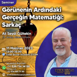 Görünenin Ardındaki Gerçeğin Matematiği: Sarkaç