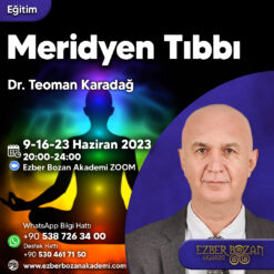 Meridyen Tıbbı