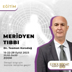 Meridyen Tıbbı