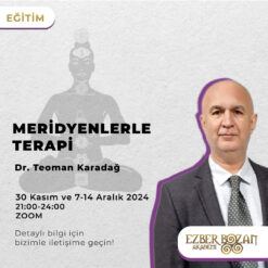 Meridyenlerle Terapi