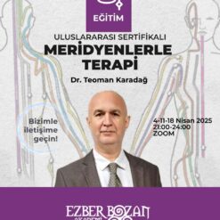 Meridyenlerle Terapi