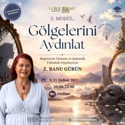 Rüya Okulu II - 5. Modül: Gölgelerini Aydınlat