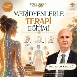 Meridyenlerle Terapi