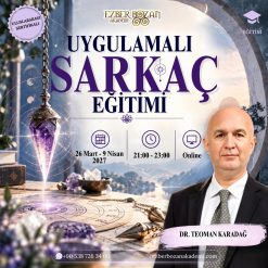 Uygulamalı Sarkaç Eğitimi